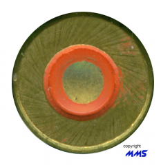 unknown red annulus with groves FMJ.jpg